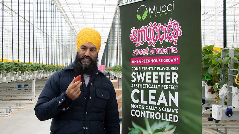 jagmeet article image