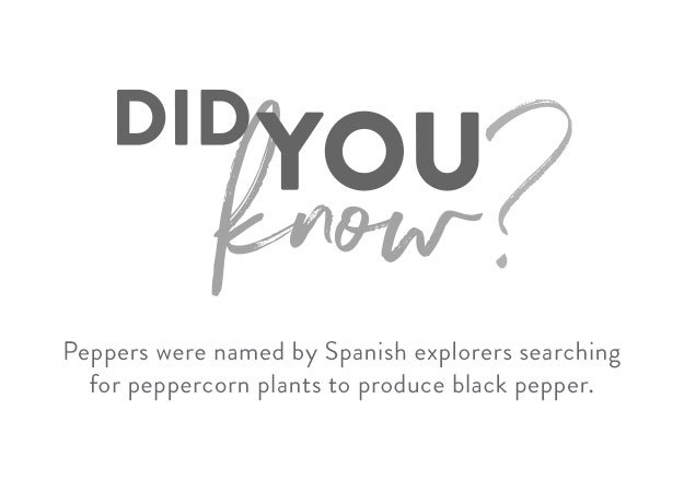 bella sweets gallery did you know 01