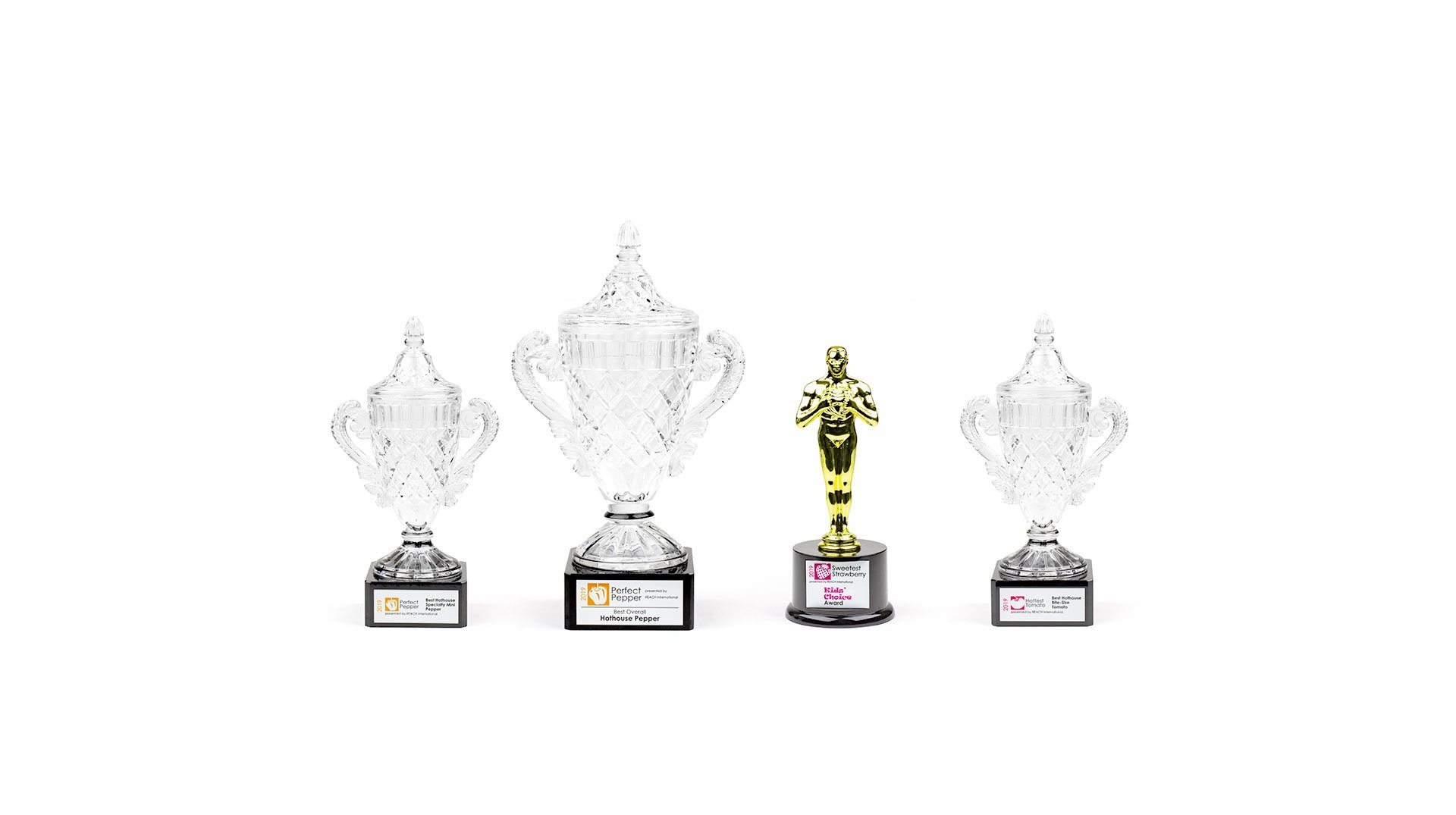 2019 leamington greenhouse competition header img