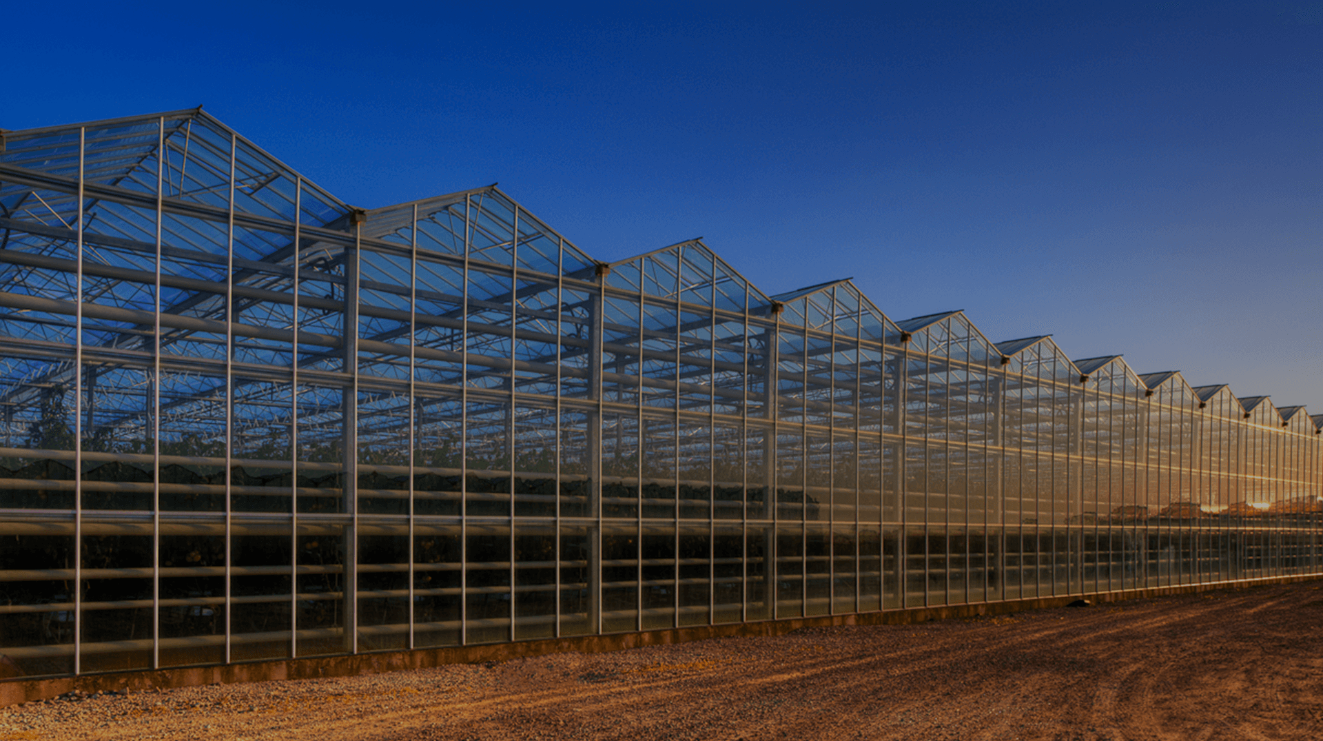 about our farms header bg new