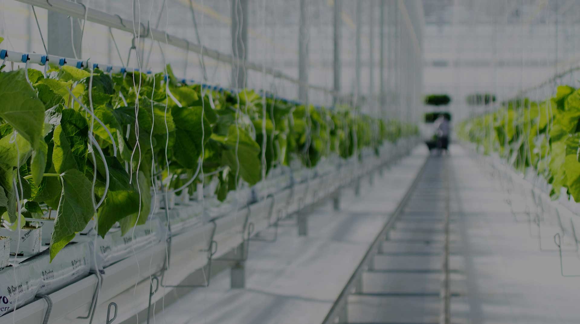 sustainability header new optimized