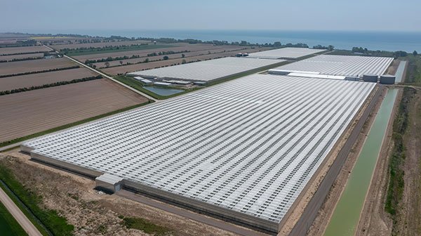 Sunlite Greenhouses Expands Operations with Acquisition of Hacienda North Farms