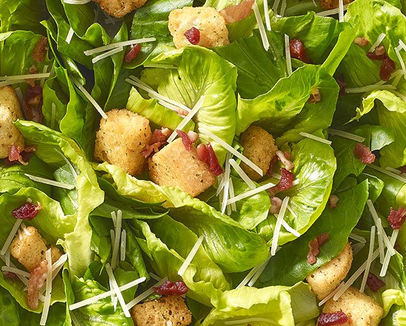 lettuce gallery top right