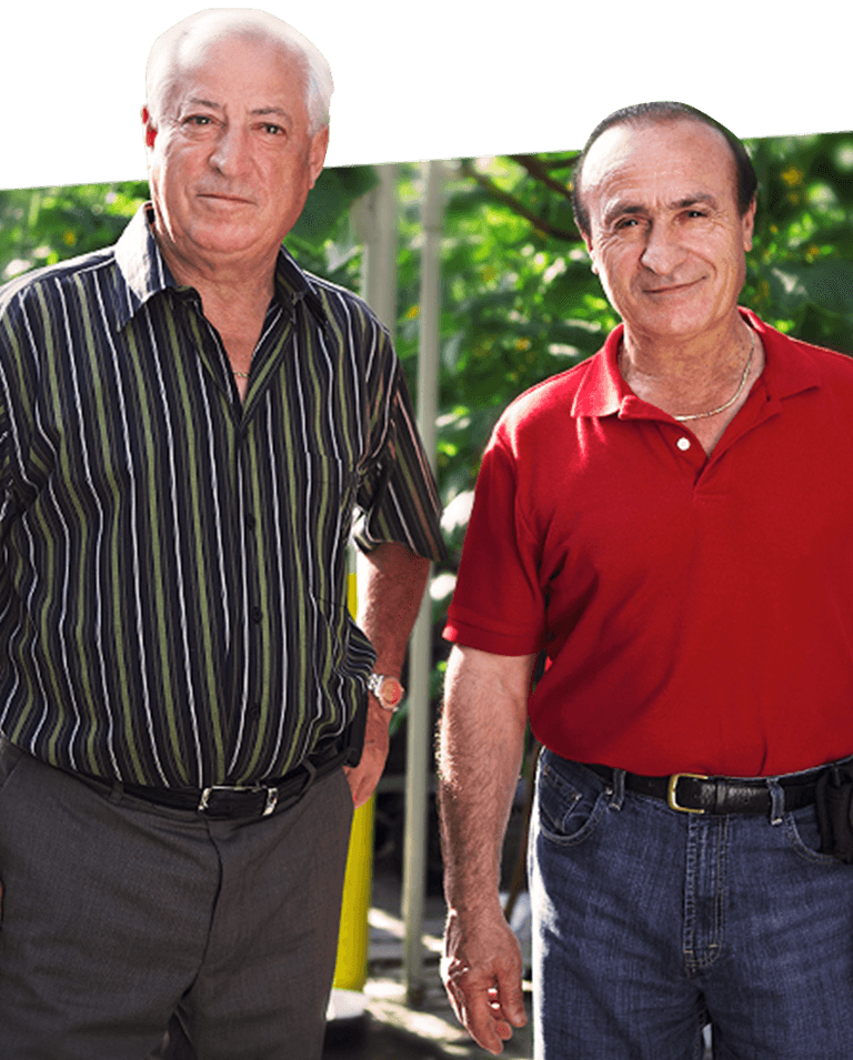 tony and gino