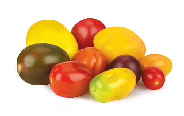 Blended Flavours Tomatoes