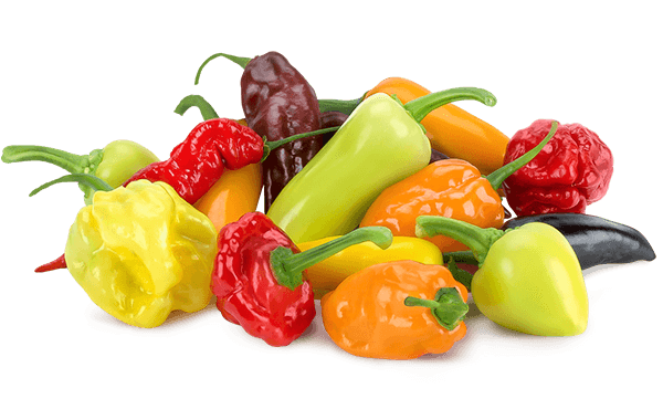 Hot Shots Hot Peppers