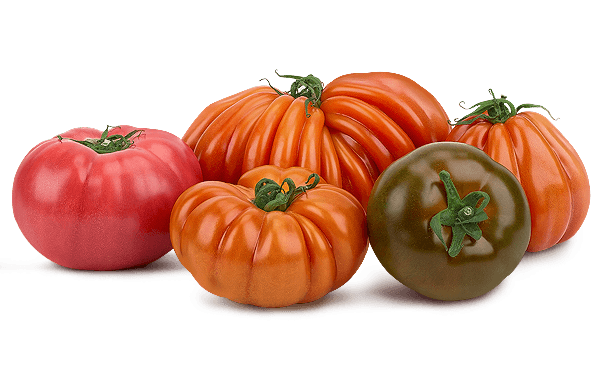 Memento Heirloom Tomatoes