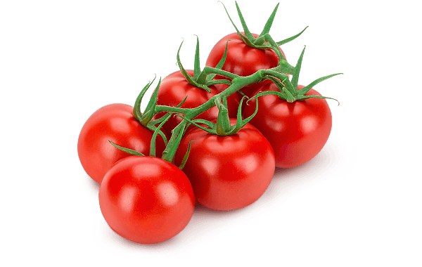 Prova Premium On-The-Vine Tomatoes