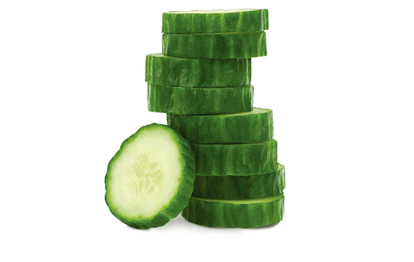 Seedless English Cucumbers