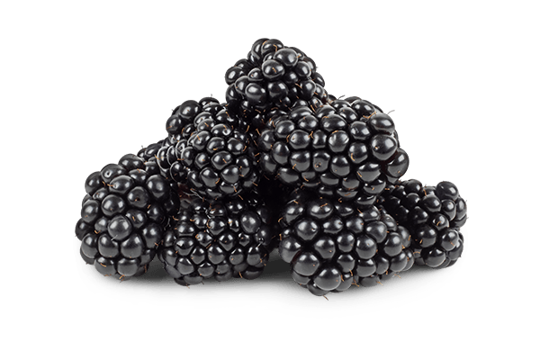 Product-IMG_Smuccies-Blackberries_rev5.png