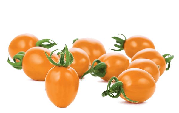 Sun Bliss Sweet Grape Tomatoes
