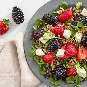Recipe-Index-Roasted-Berry-Farro-Salad.jpg