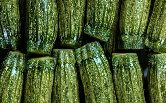 zukies mini zucchini bottom middle img rev 3