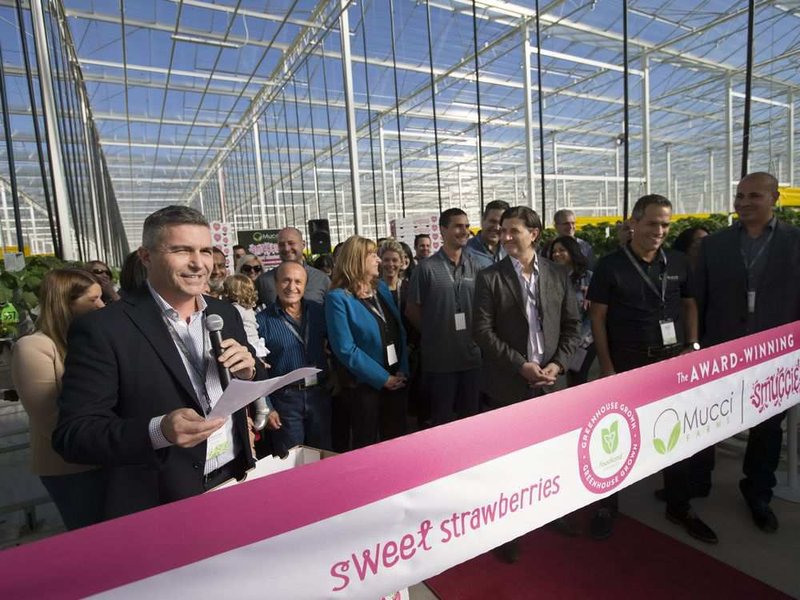 Joe Spano, left, vice-president of sales and marketing at Sunlite Greenhouses in Kingsville, gives remarks during a ribbon-cutting ceremony to unveil Phase 2 of the 36-acre strawberry farm expansion on Oct. 26, 2017.