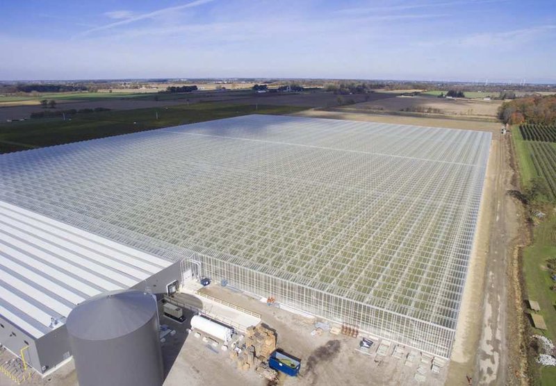 This aerial view shows the 36-acre strawberry farm expansion at Sunlite Greenhouses in Kingsville.